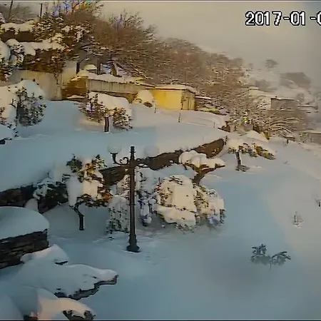 Balkonikarystos *